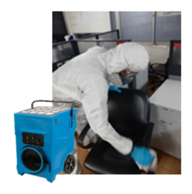 mold-removal-3