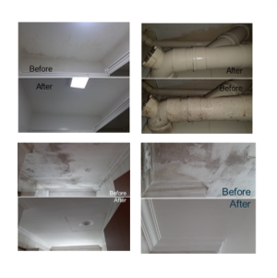 mold-removal-4