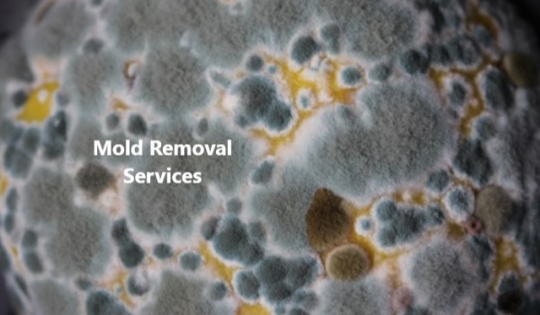 Industrial Air Scrubber HEPA filtration for Mold Removal Mitigation